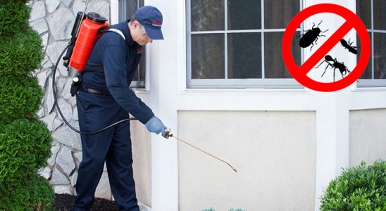 Ezine Hamam Böceği İlaçlama böcek ilaçlama ve haşere kontrolü — ilaclama-tr.com